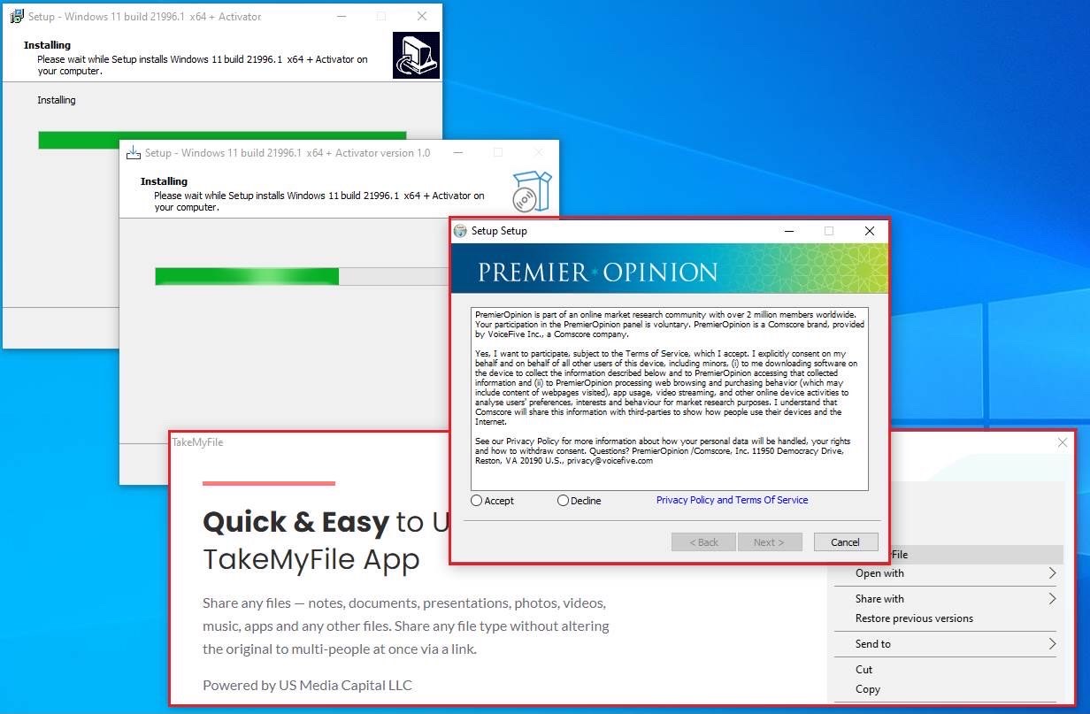 fake Windows 11 installer