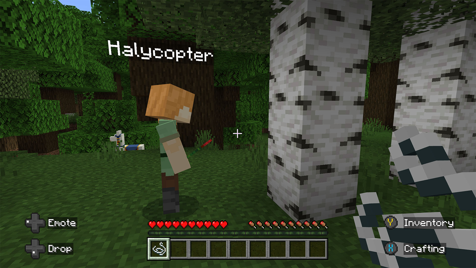 An image of Minecraft gameplay