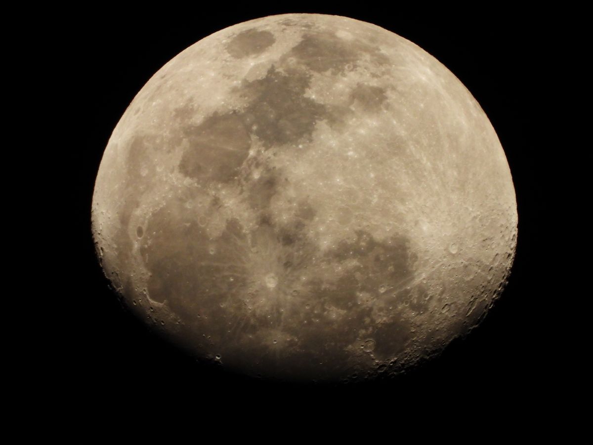 Nikon Coolpix P1000