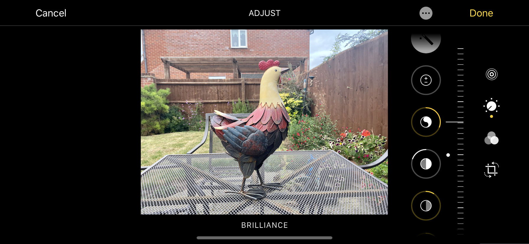 An image of the iPhone 11 photo edit screen