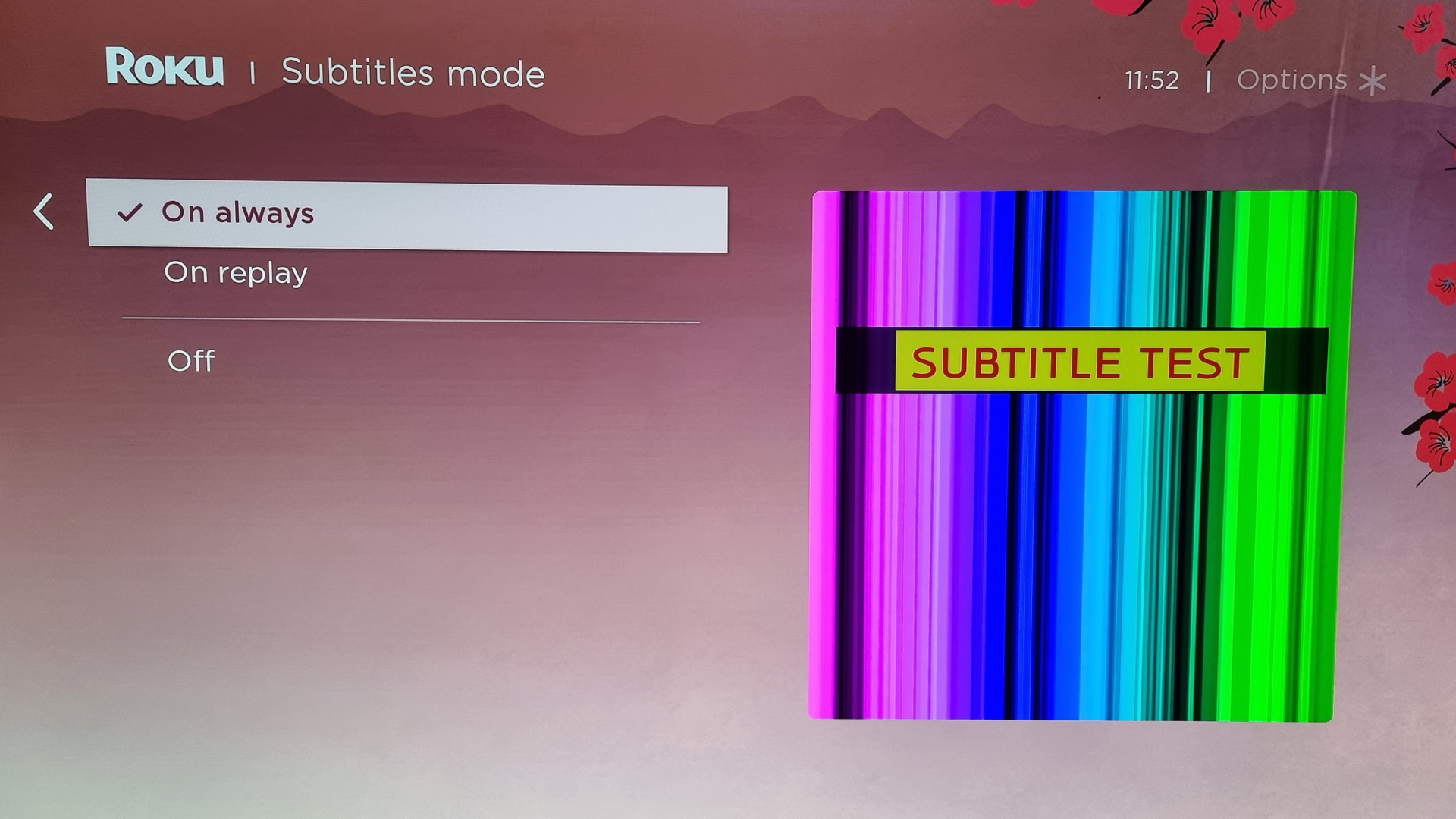 Roku subtitles menu