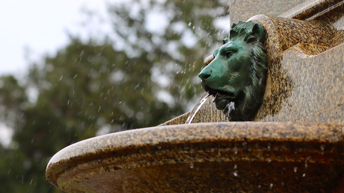 Canon EOS 90D test shot