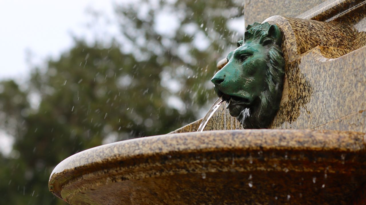 Canon EOS 90D test shot