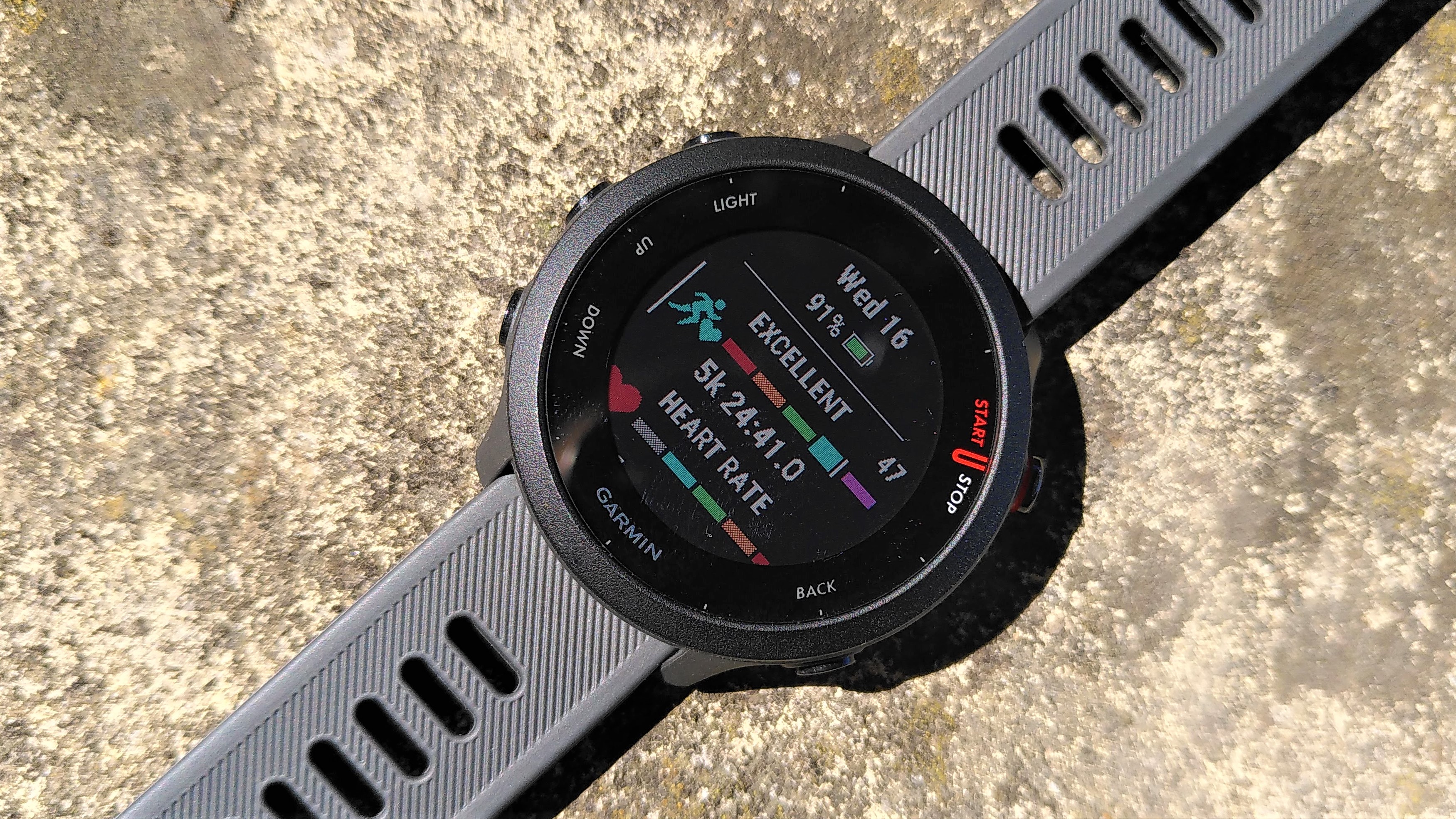 Garmin Forerunner 55