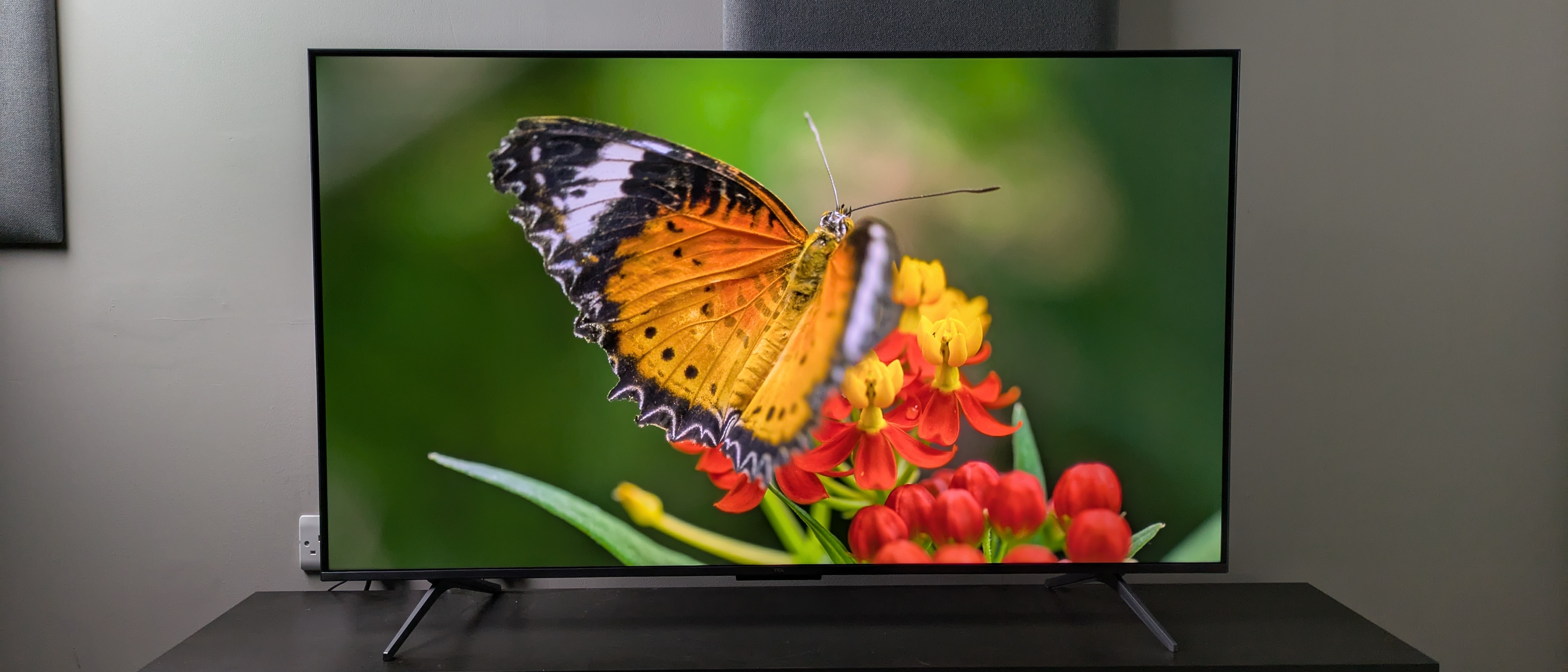 TCL C6K hero image with orange butterfly on screen