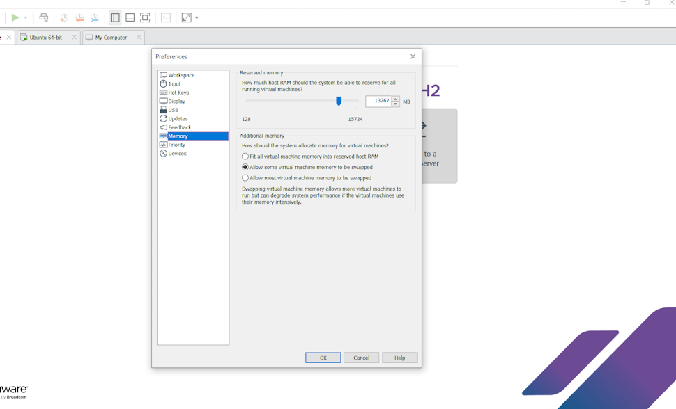 VMWare Workstation reserved memory screen