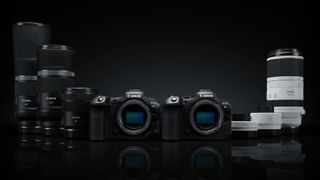Best Canon RF lenses