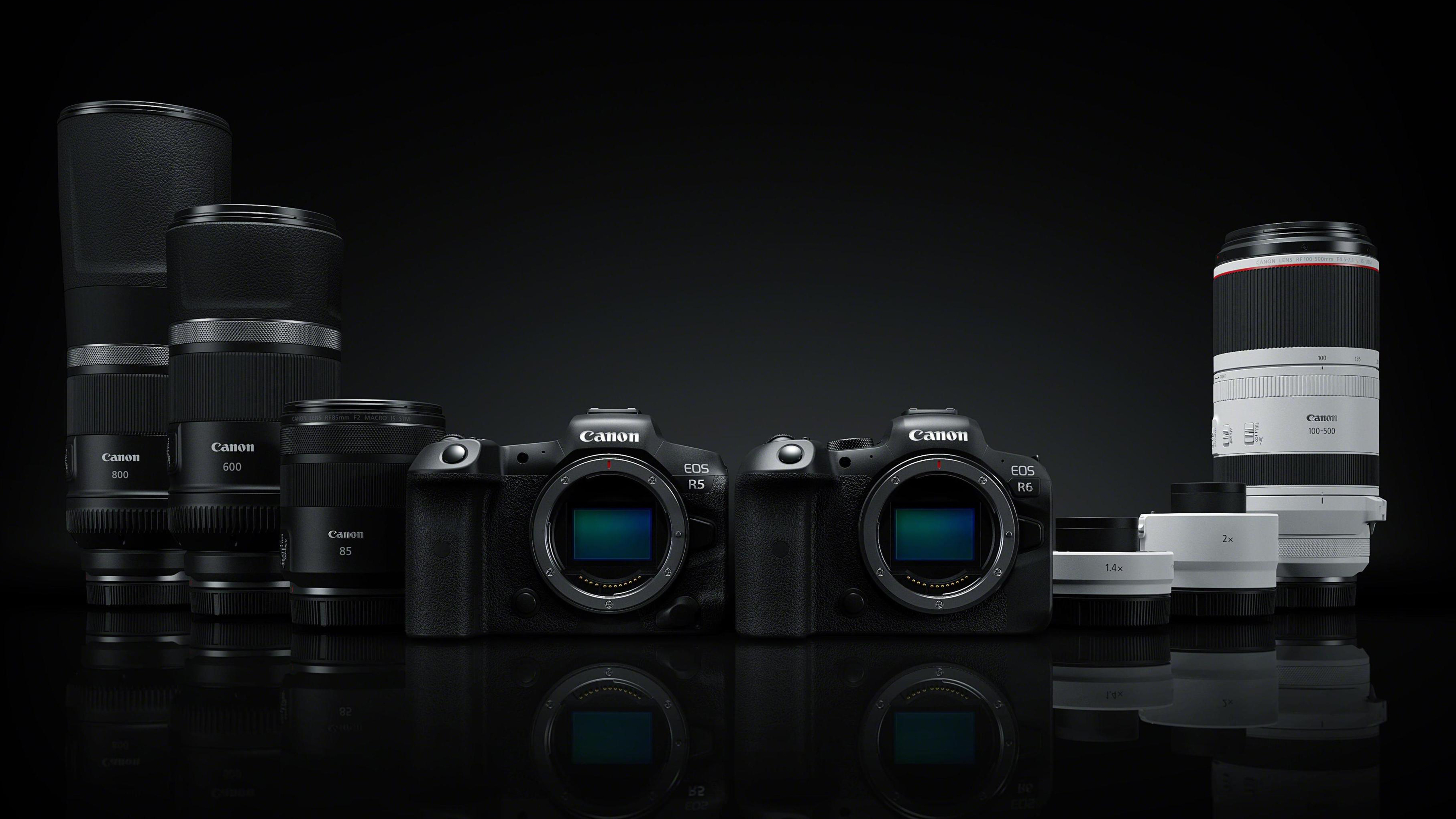 Best Canon RF lenses