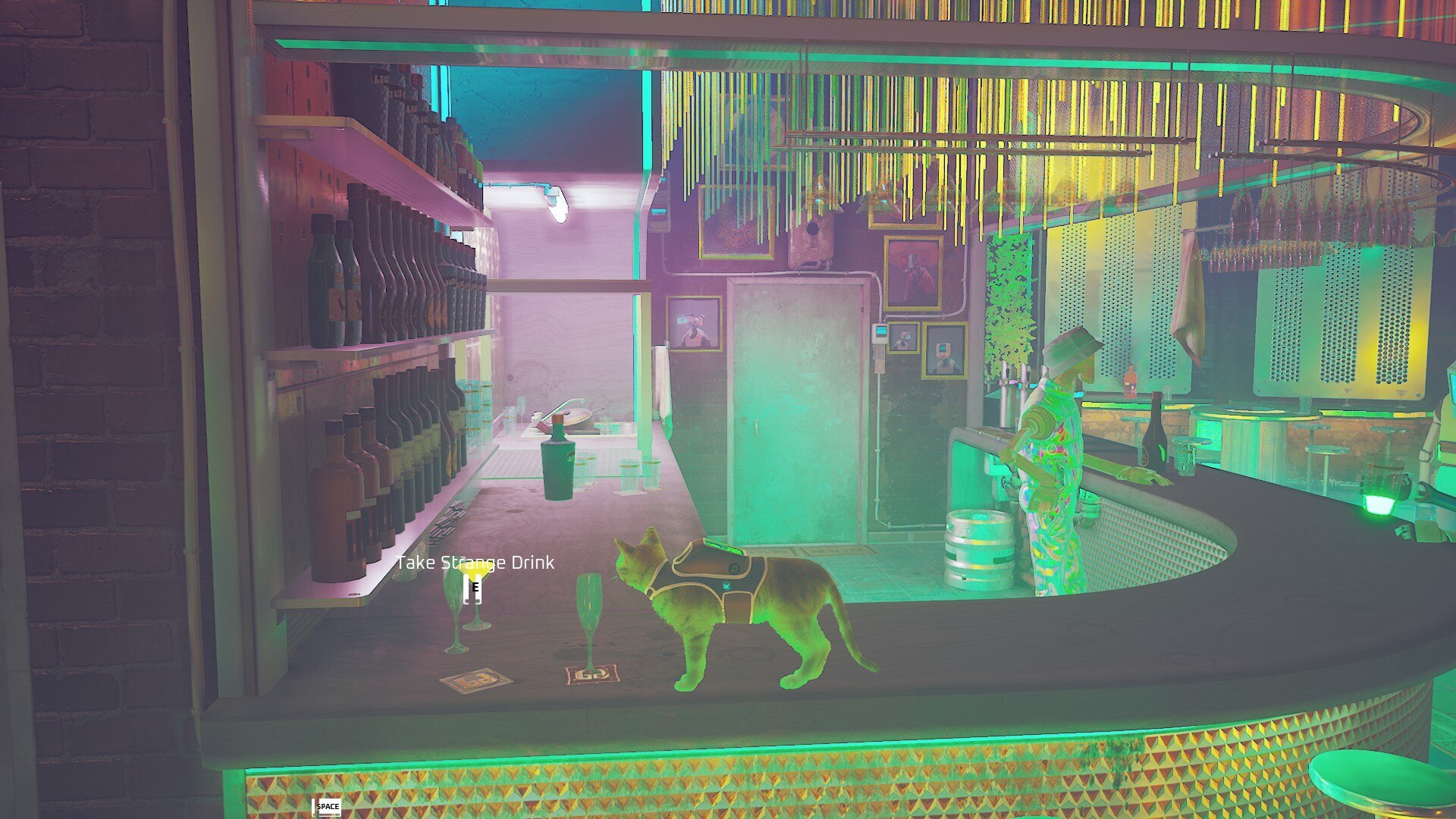 Stray Clementine: the cat finds a strange drink in the club