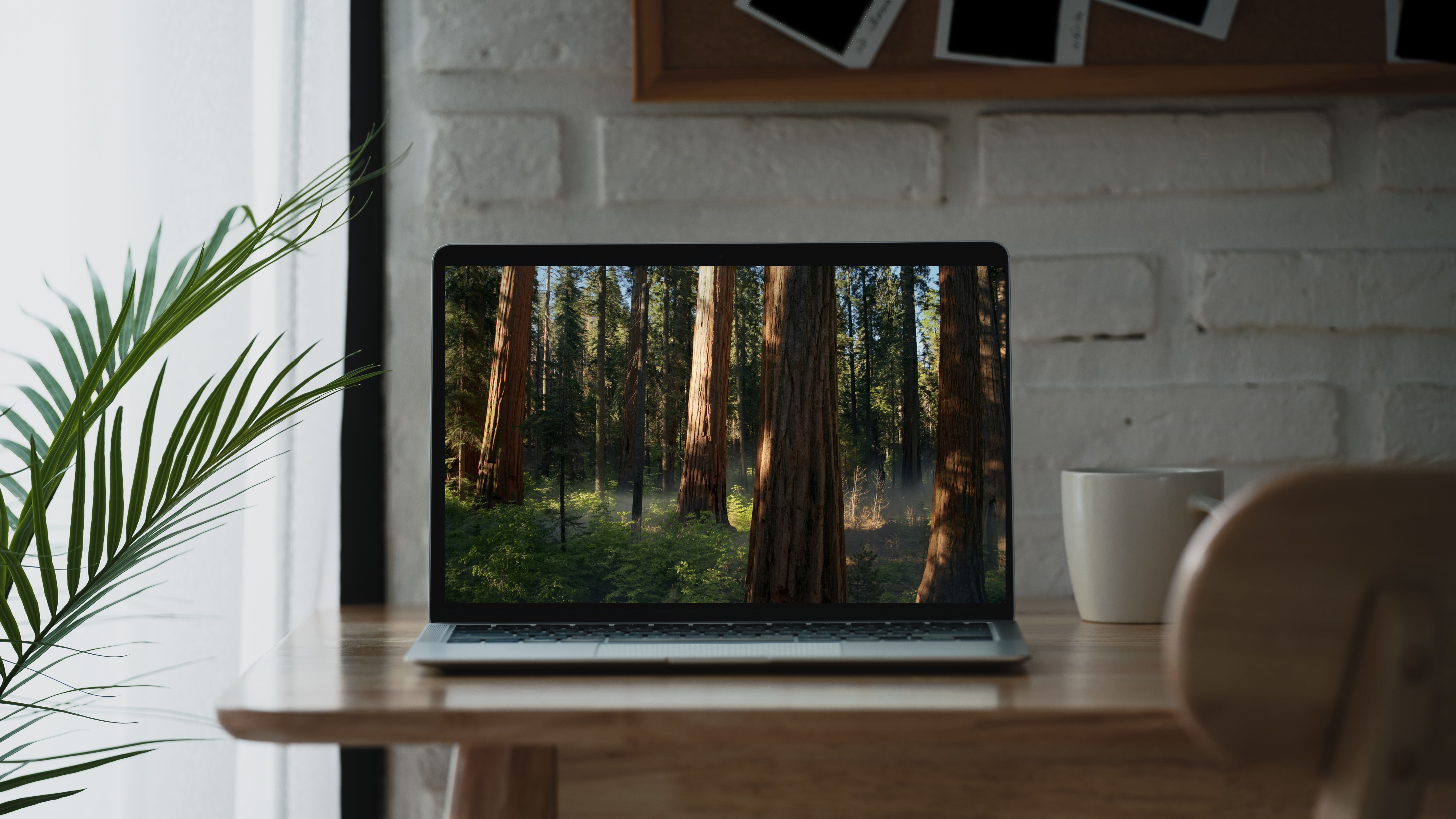 Edited image of a MacBook Pro with Sequoia background on screen