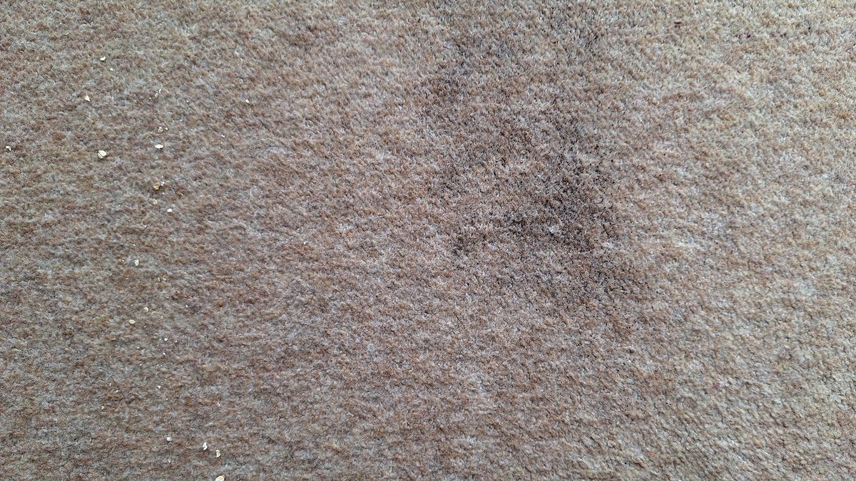Carpet with tea and oats remaining after two passes with the Roborock Saros 10