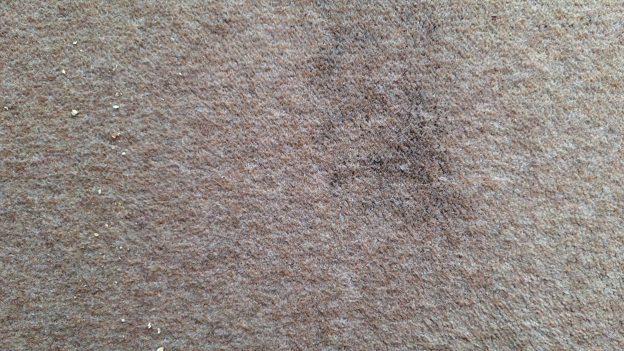 Carpet with tea and oats remaining after two passes with the Roborock Saros 10