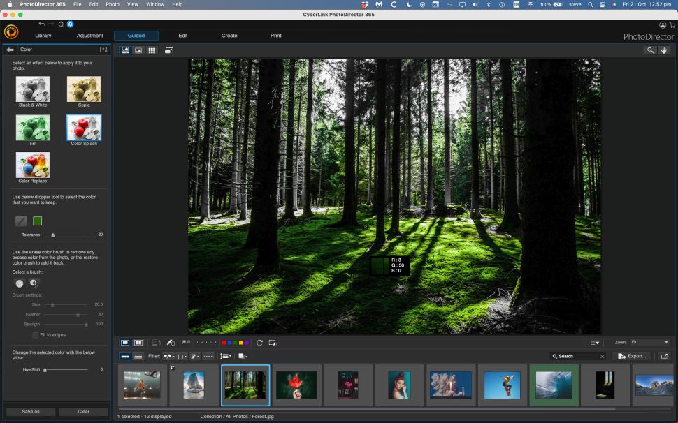 Screenshot of photo editor CyberLnk PhotoDirector