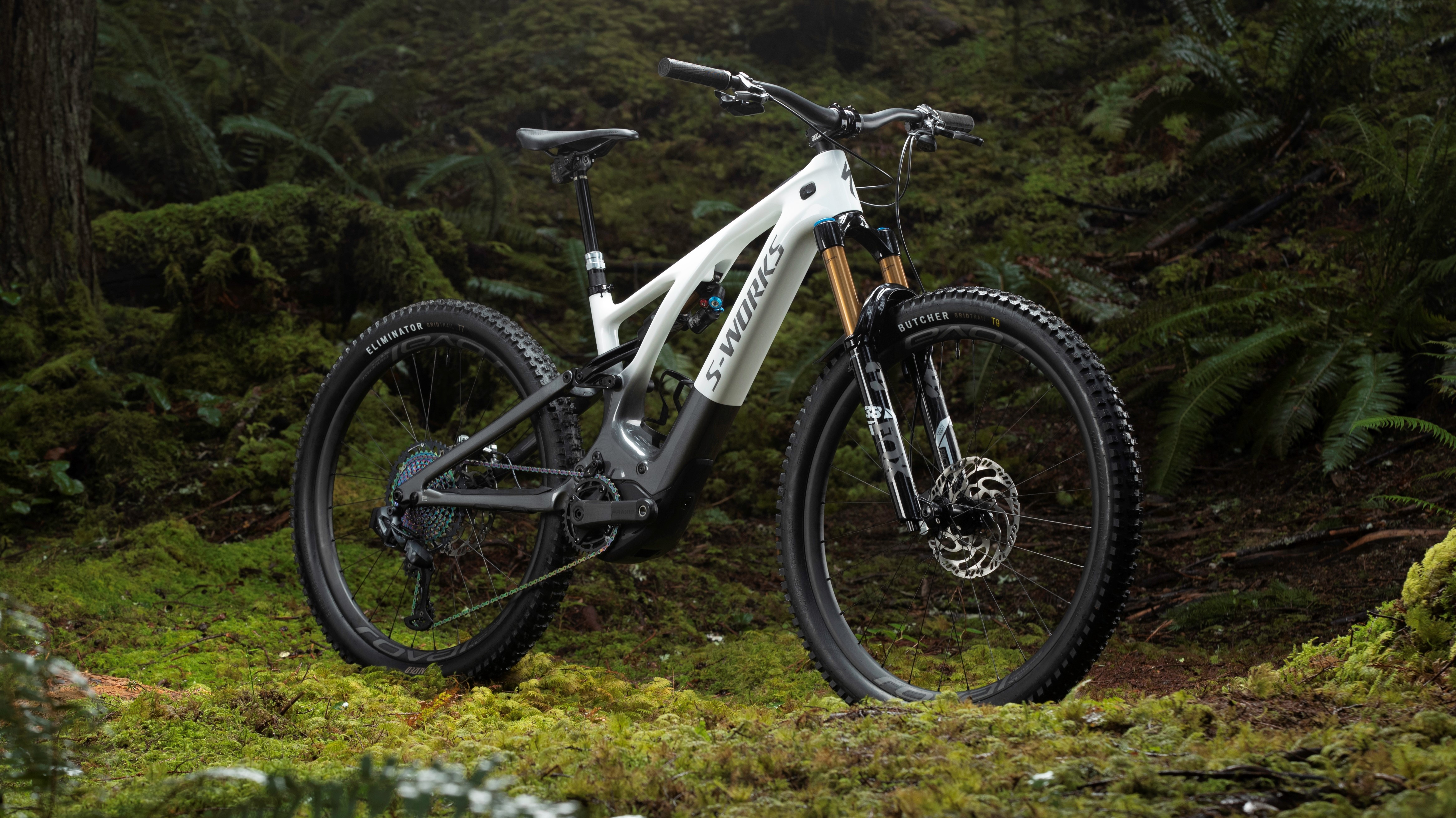 Specialized Levo