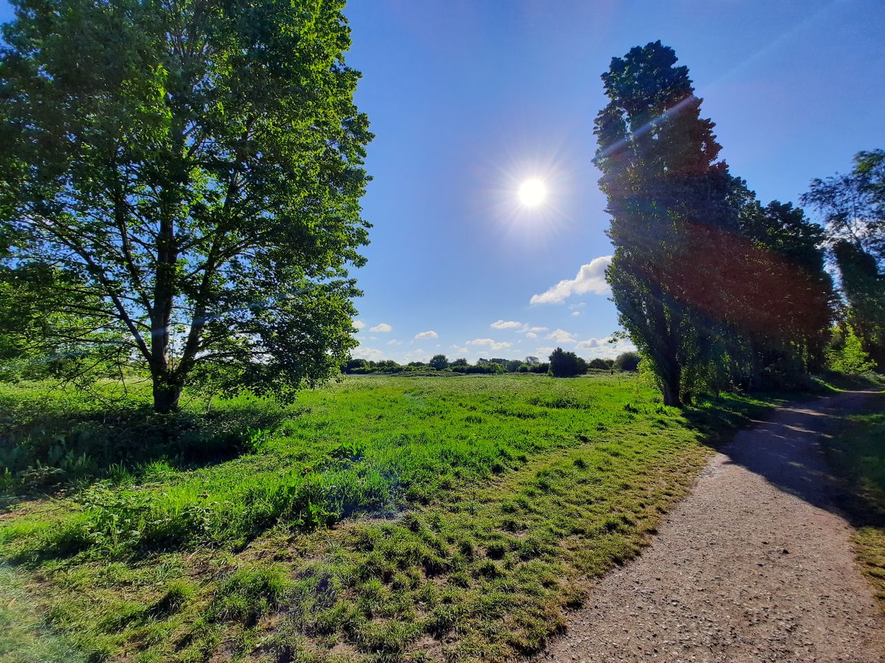 Dynamic range enhancement is about as effective as Samsung&rsquo;s more expensive phones: sun in the shot, but the foreground is still fairly bright and clear.