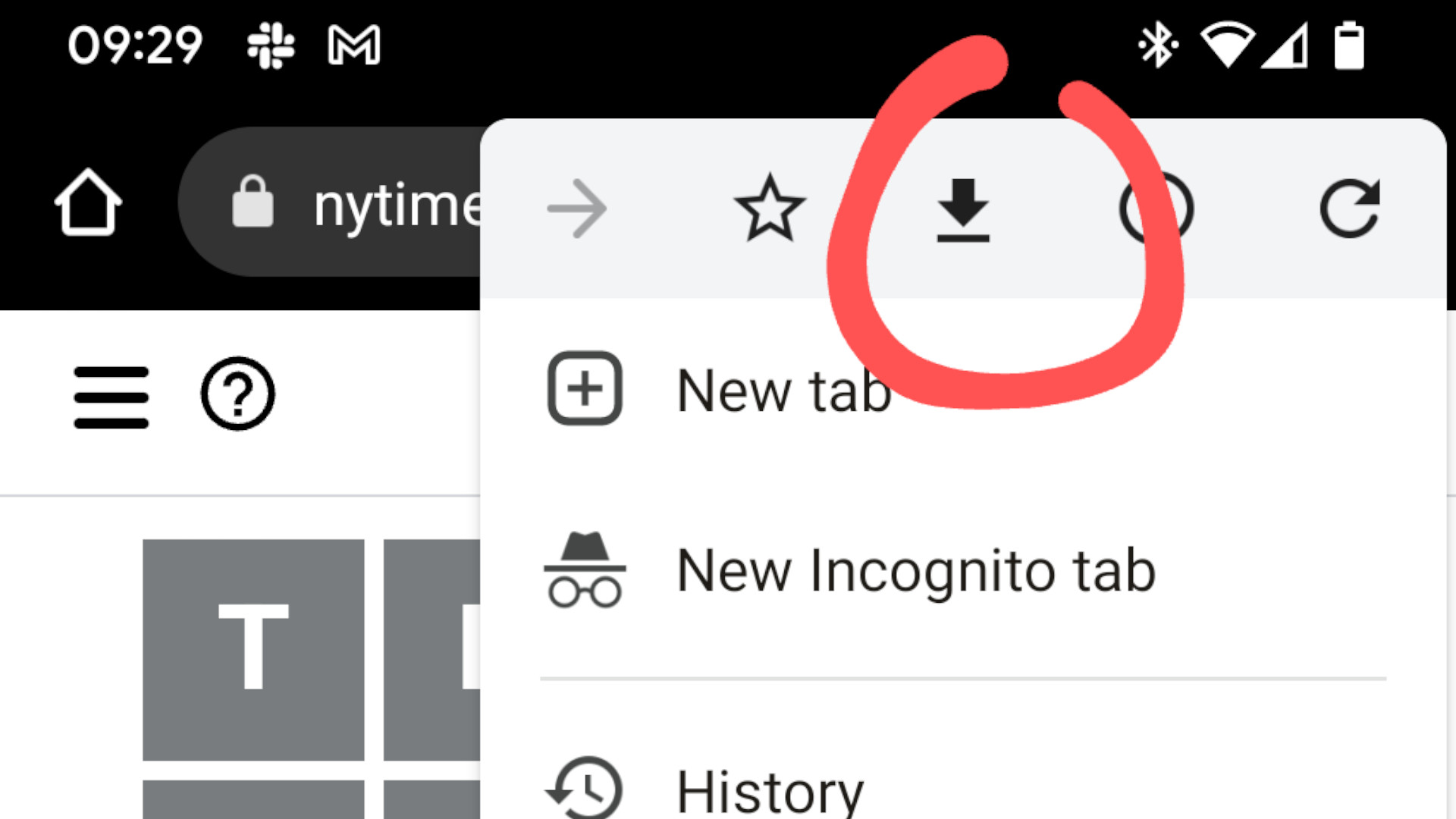 How to save Wordle offline on Android