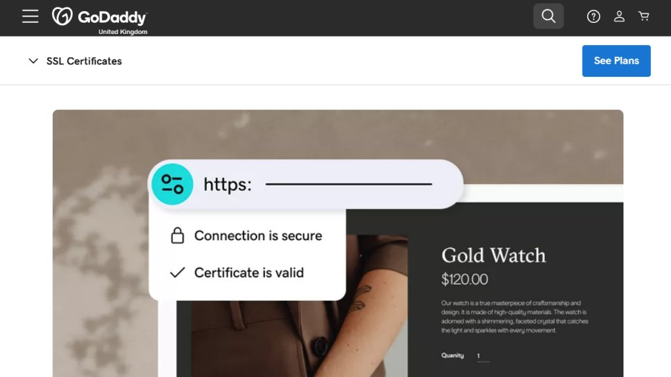 Website screenshot for GoDaddy.