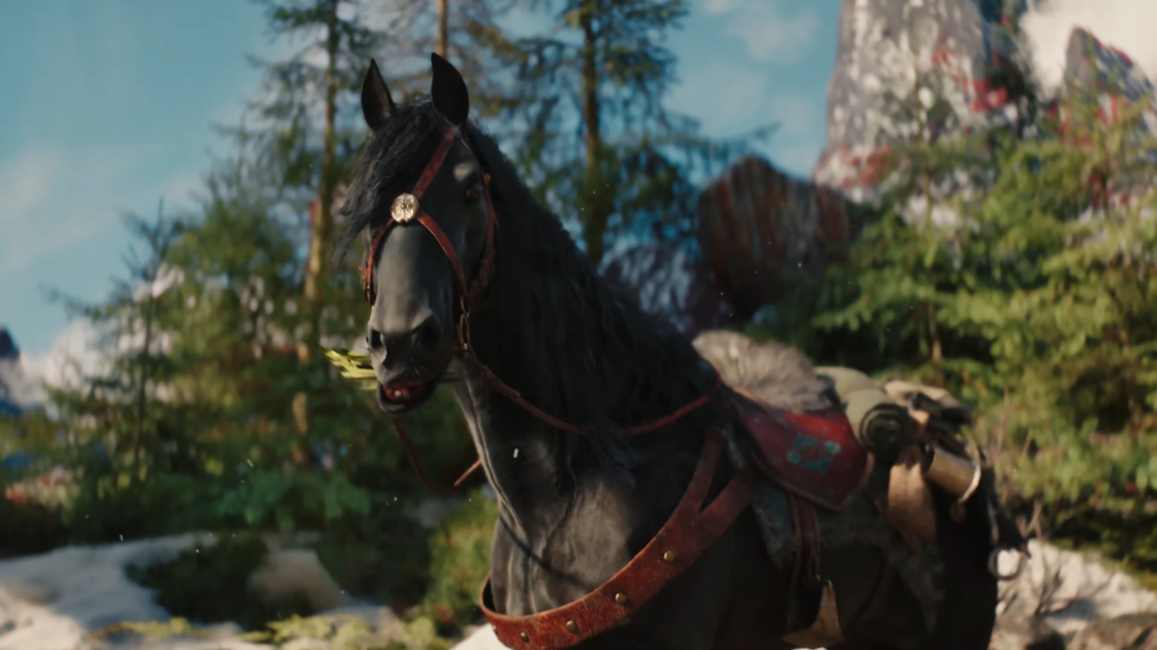 The Witcher 4