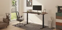FlexiSpot E7 FlexiSpot E7