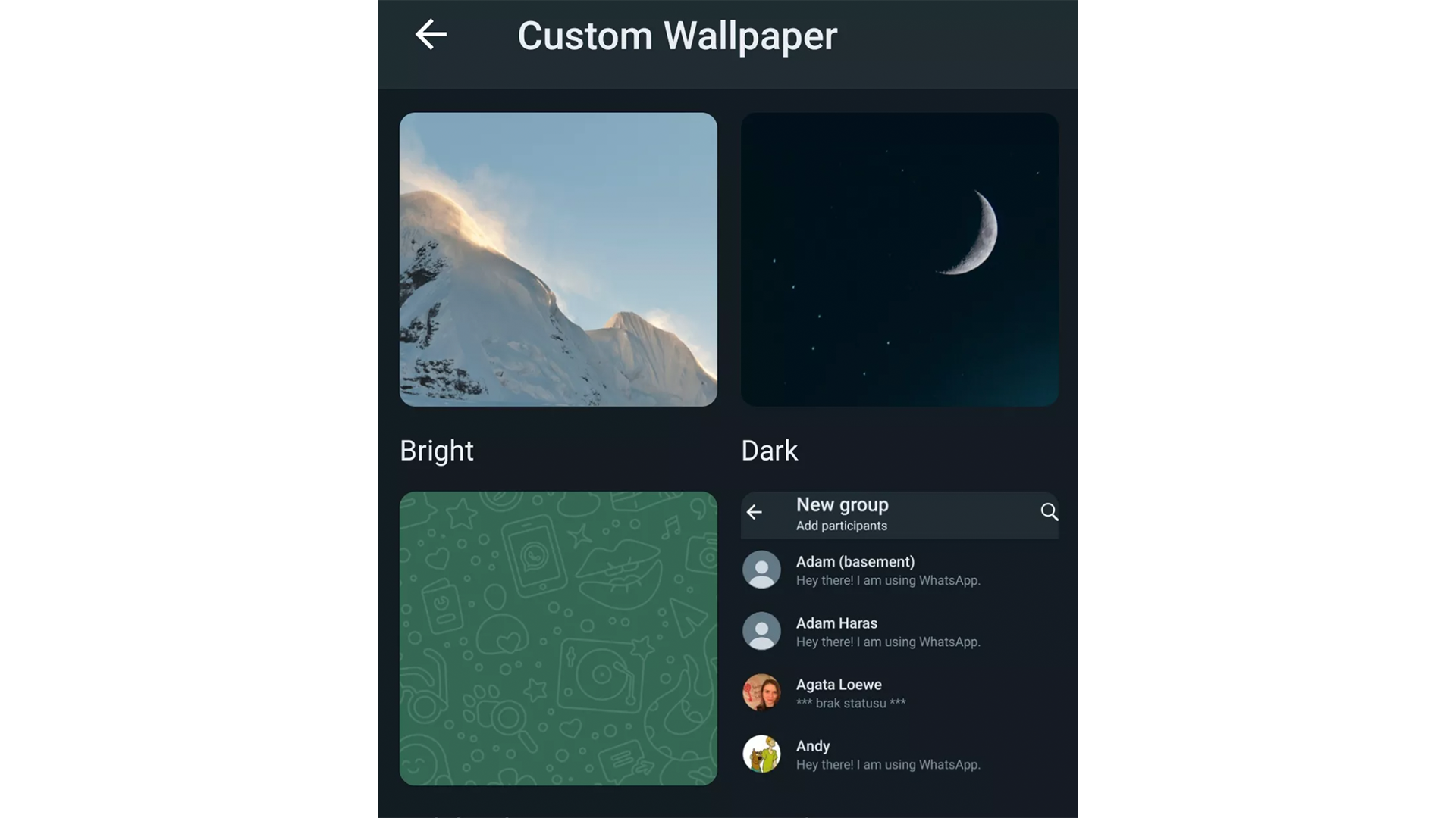Selecting a theme on WhatsApp
