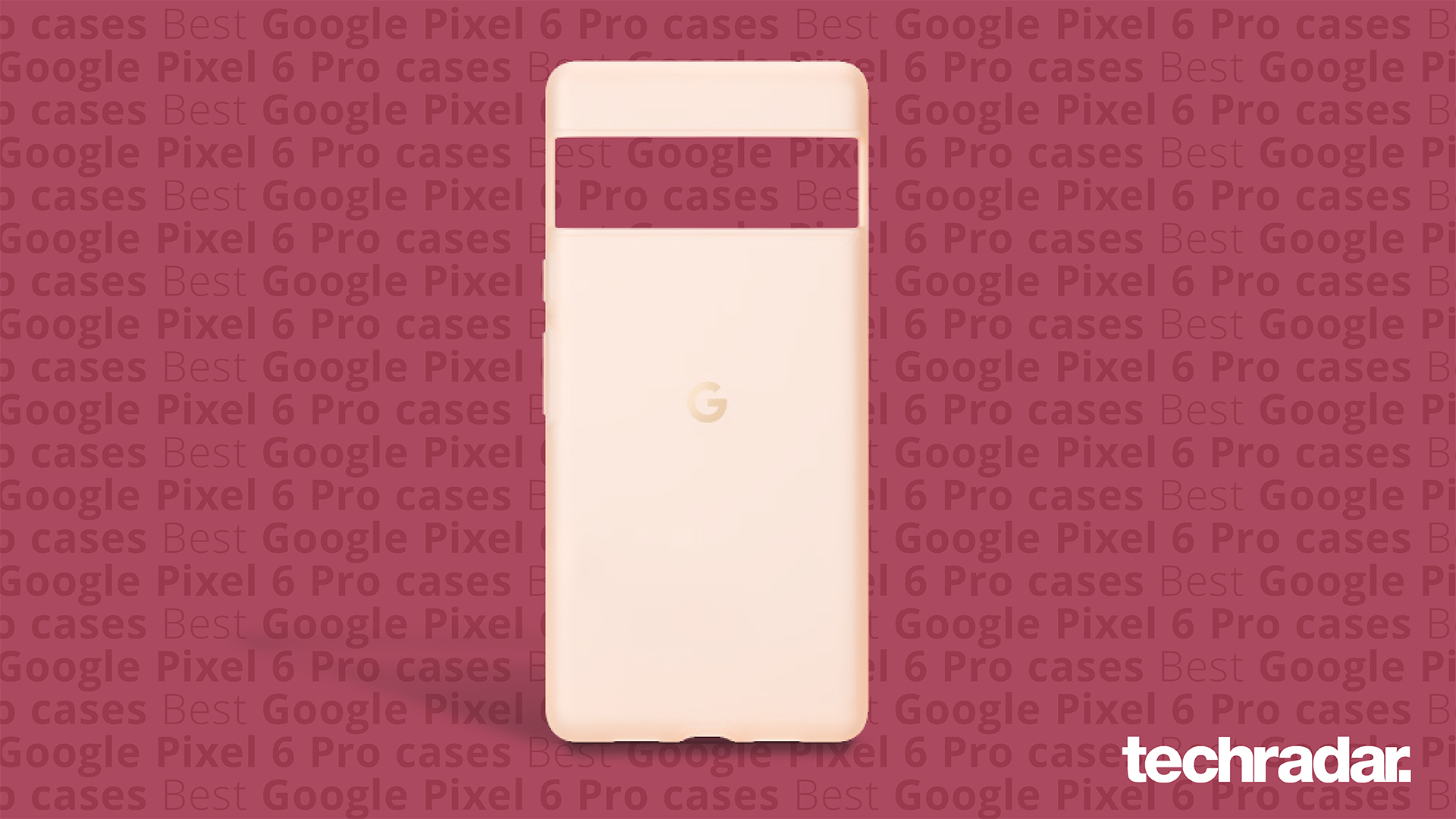 Google Pixel 6 Pro cases