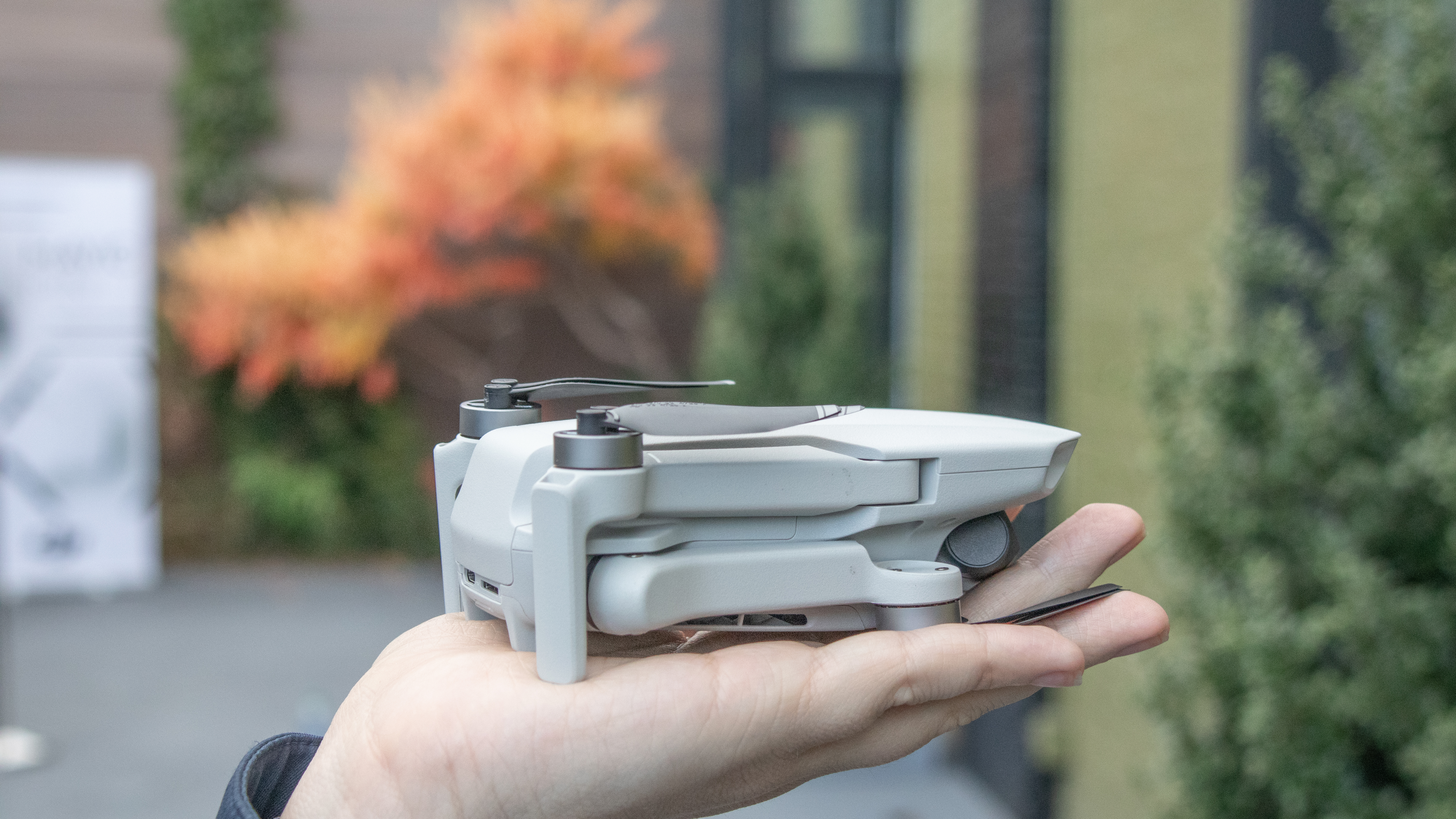 DJI Mavic Mini