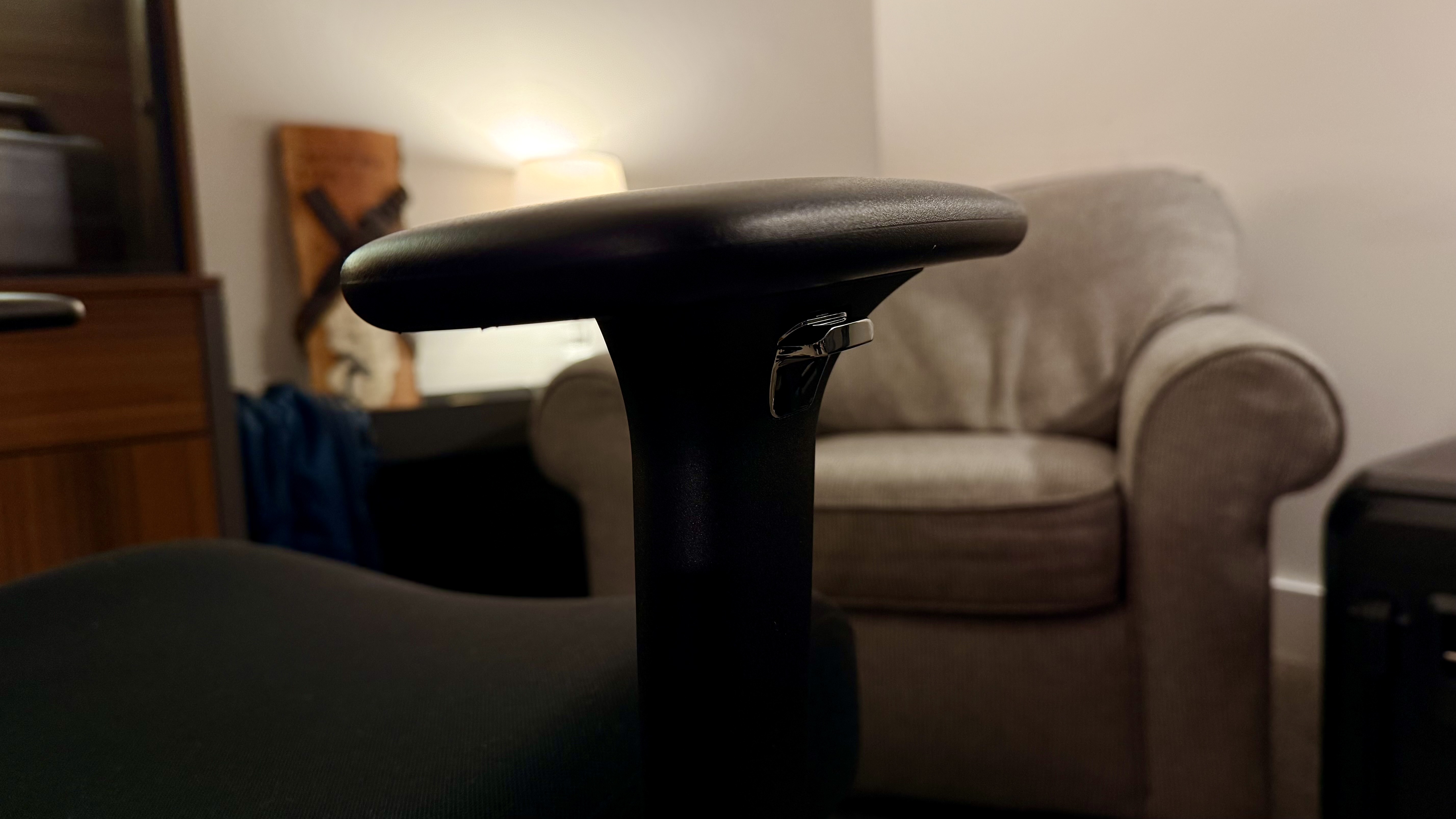 Hon Altern Task Chair