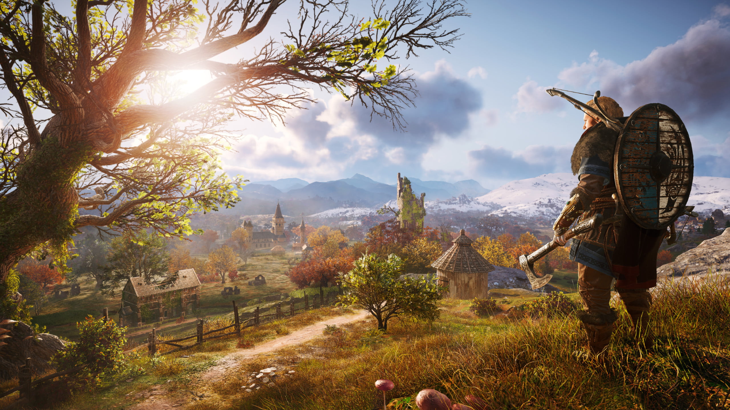 Eivor staring over a field in Assassin's Creed Valhalla