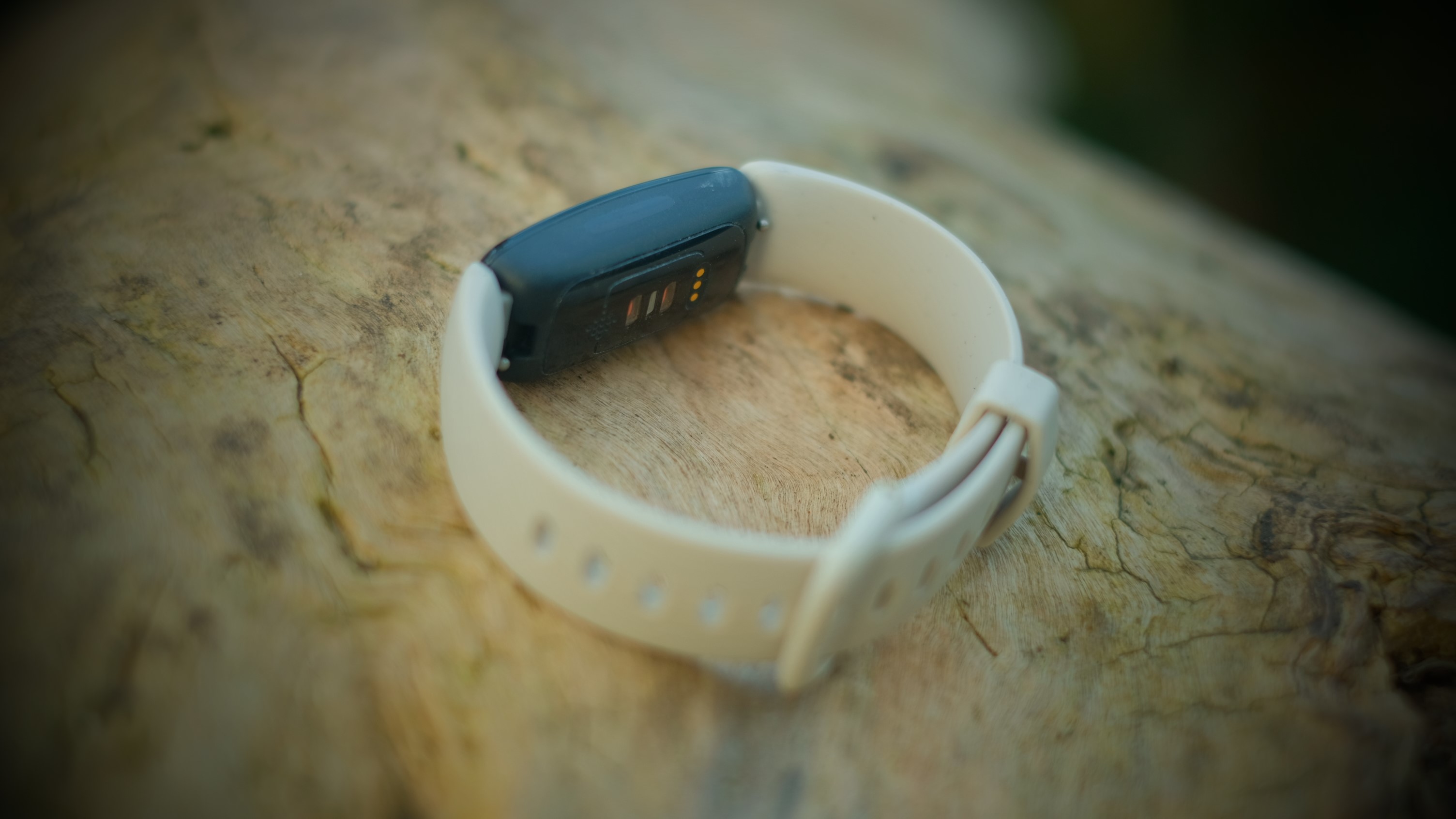 Fitbit Inspire 2