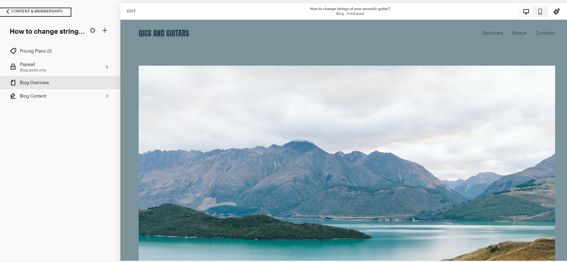 screeshot of the blog making process on squarespace
