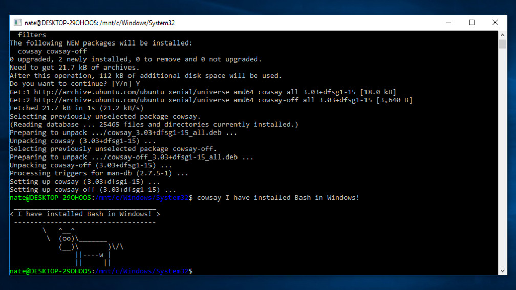 6. How to install your first Linux program in Windows with Bash