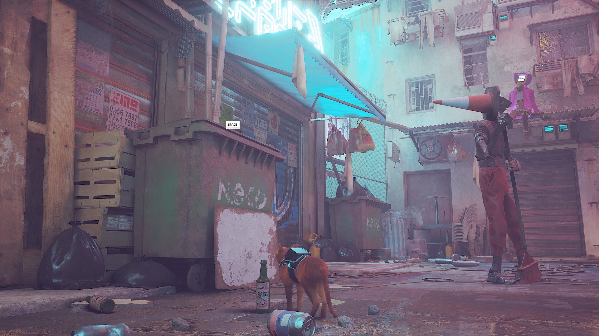 Stray Clementine: the garbage bin you need to jump on to start climbing into the club