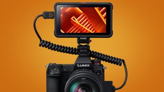 Panasonic Lumix S1