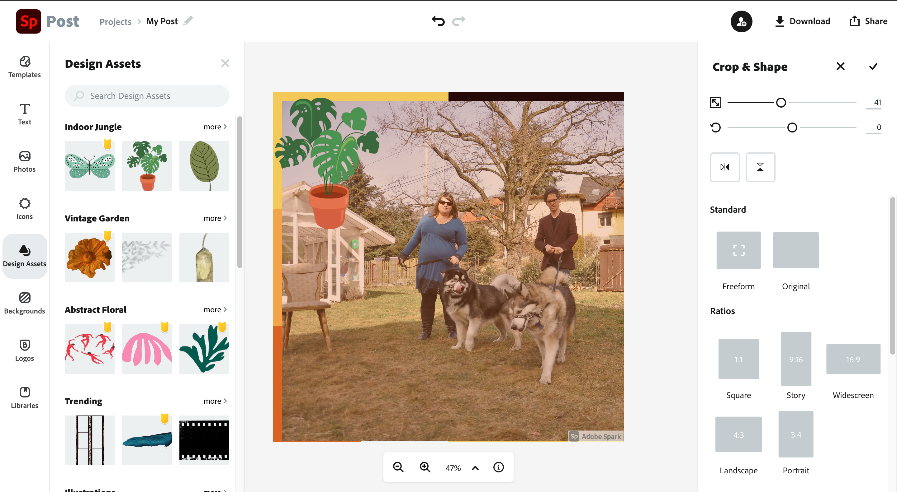The best online photo editor: Adobe Spark