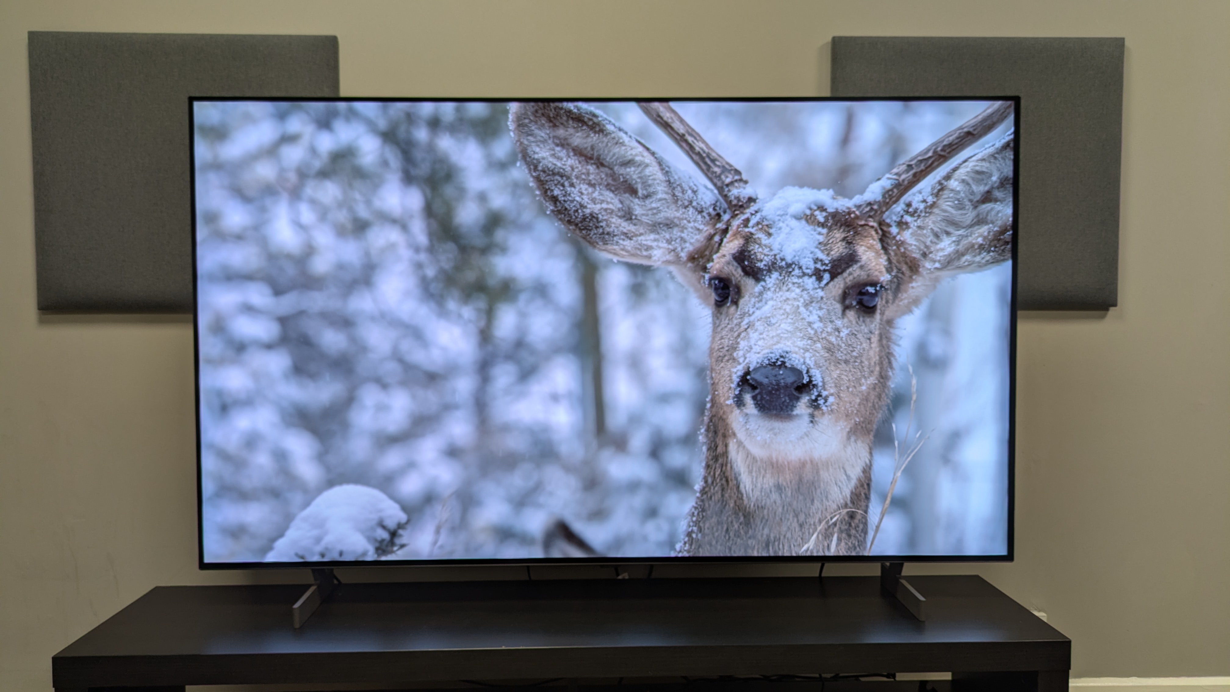 LG B6 OLED TV with a snow-covered deer on screen. The B6 shows vibrant white tones with the snow and crisp textures with the deer's fur