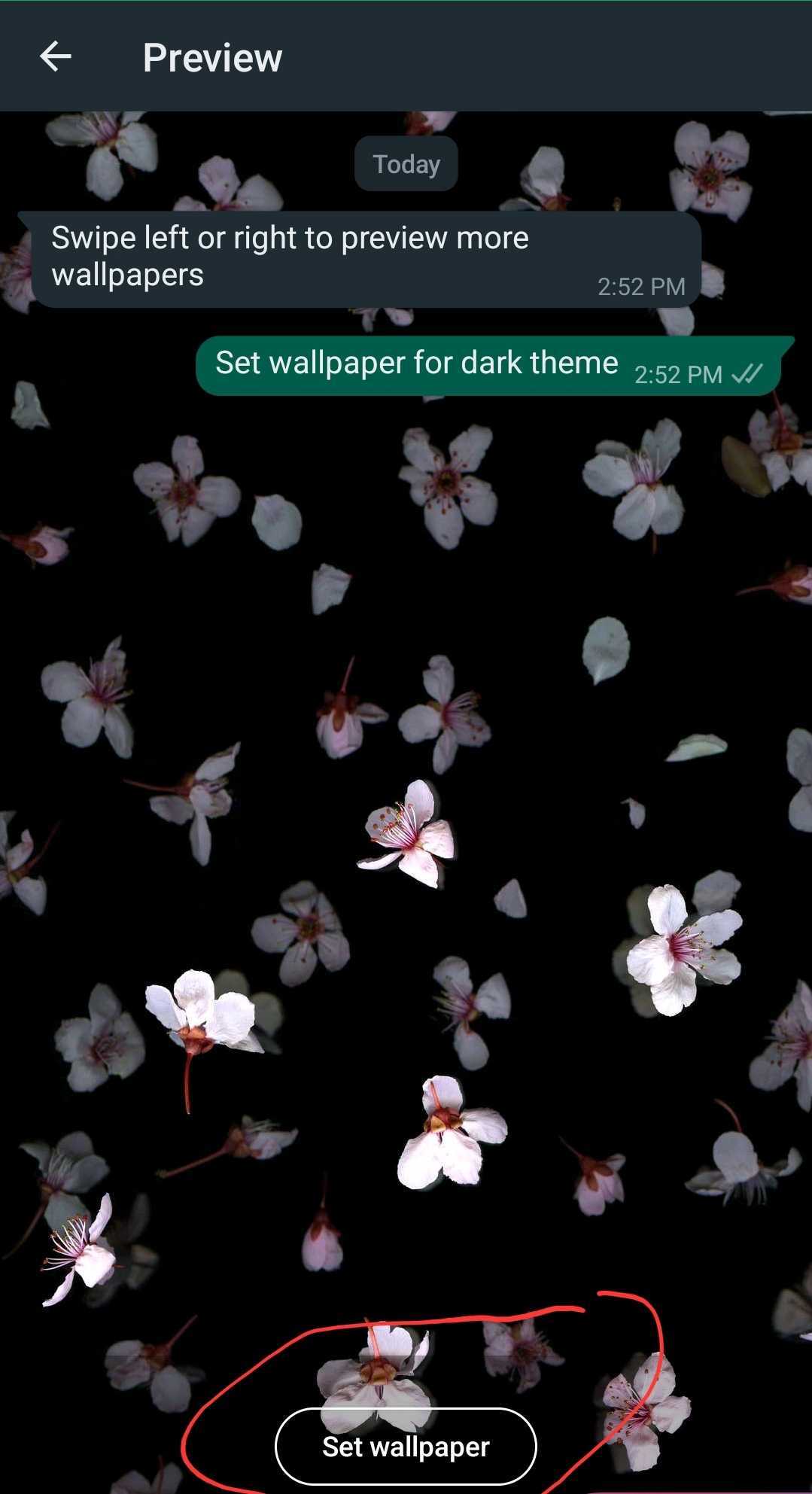 Set Wallpaper option circled after image is chosen