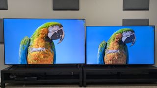 TCL Q6C (left) vs Samsung Q8F (right) showing parrot on screen