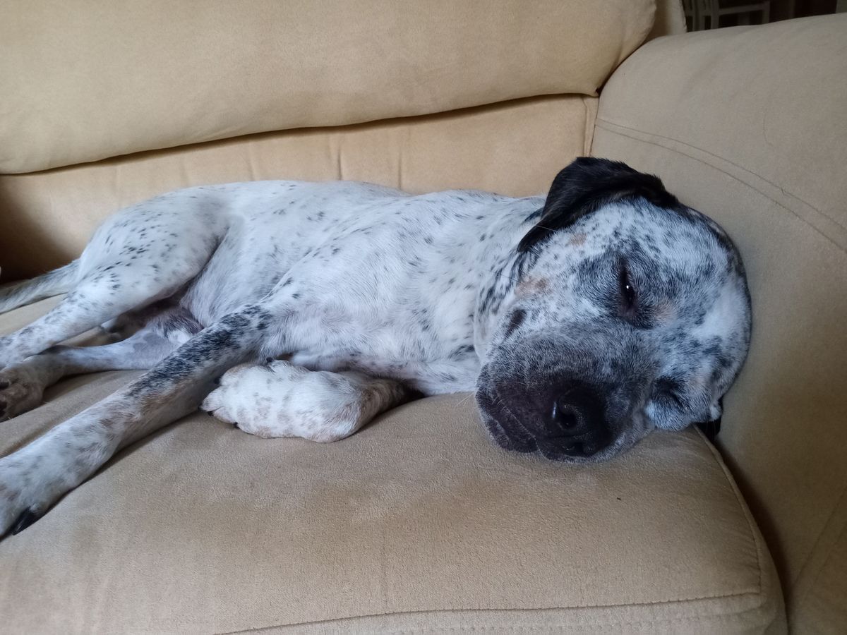 Moto G Pure Camera Samples