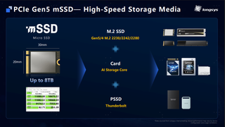 The Longsys 8TB Gen 5 mSSD