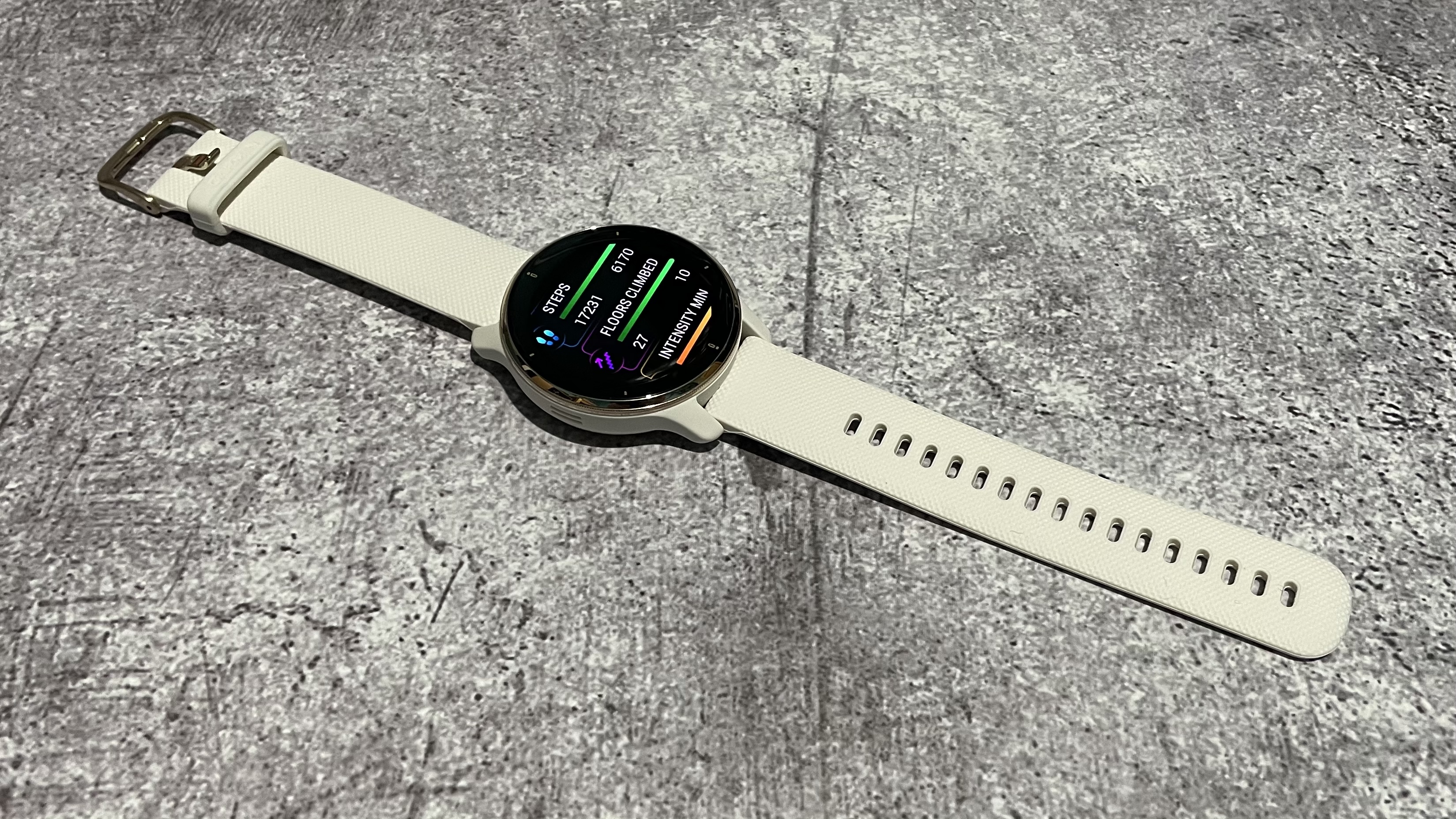 Garmin Venu 2 Plus