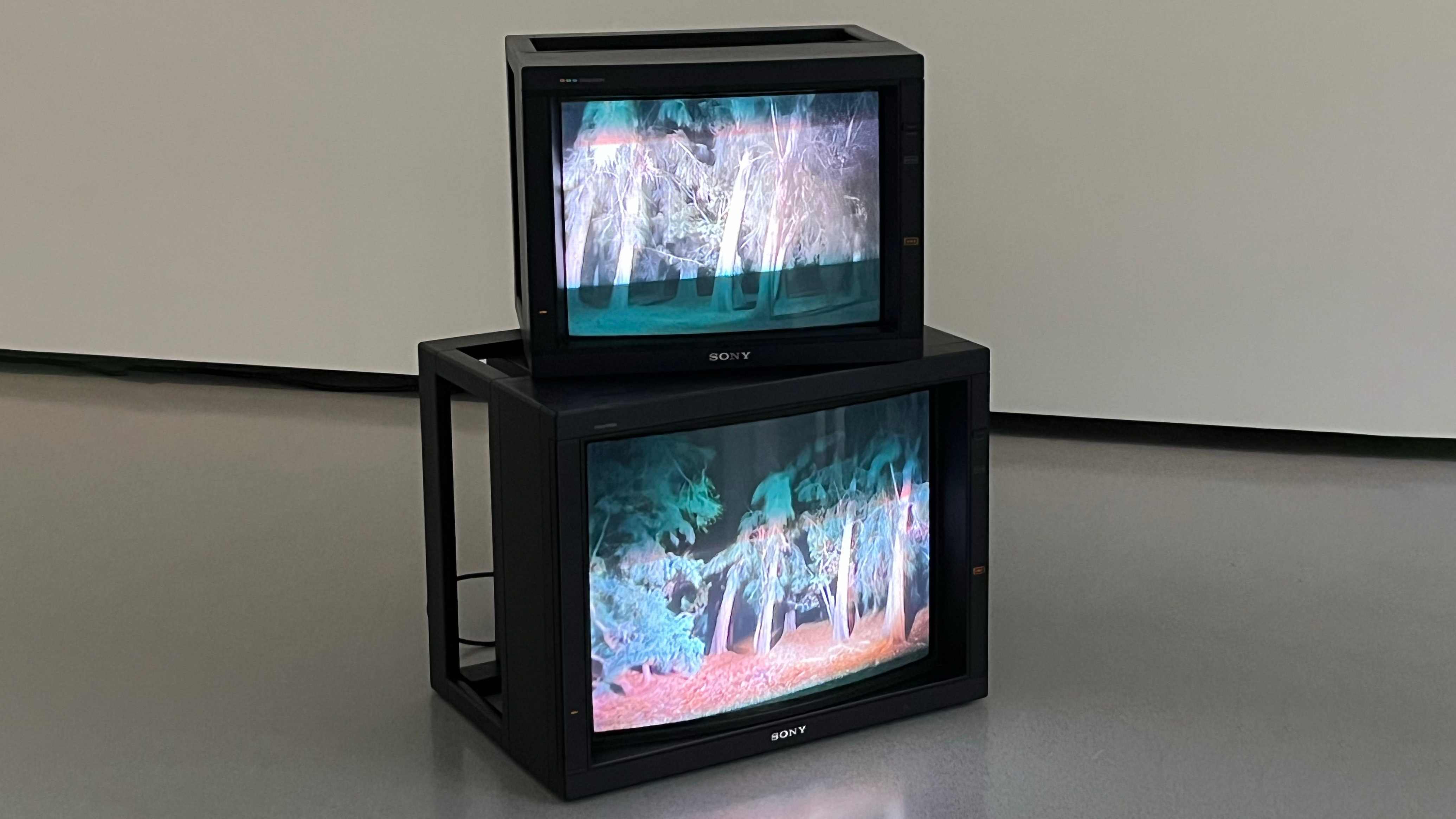 Two Sony CRT TVs sit, one on top of the other, showing images of a woody scene