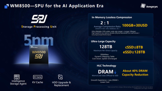 A slide detailing the features of the Longsys WM8500 SPU