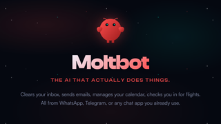 Moltbot