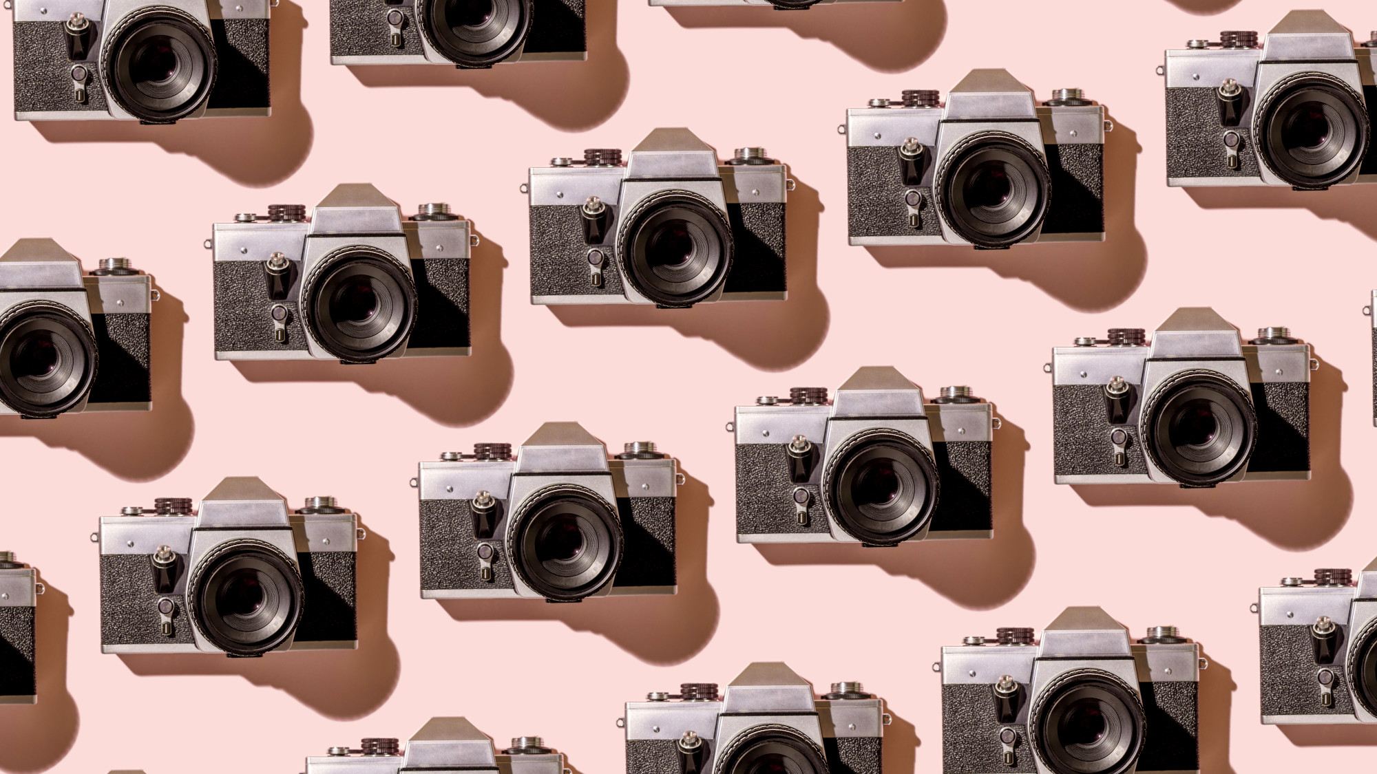 A collage of analog film cameras arranged on a pink background
