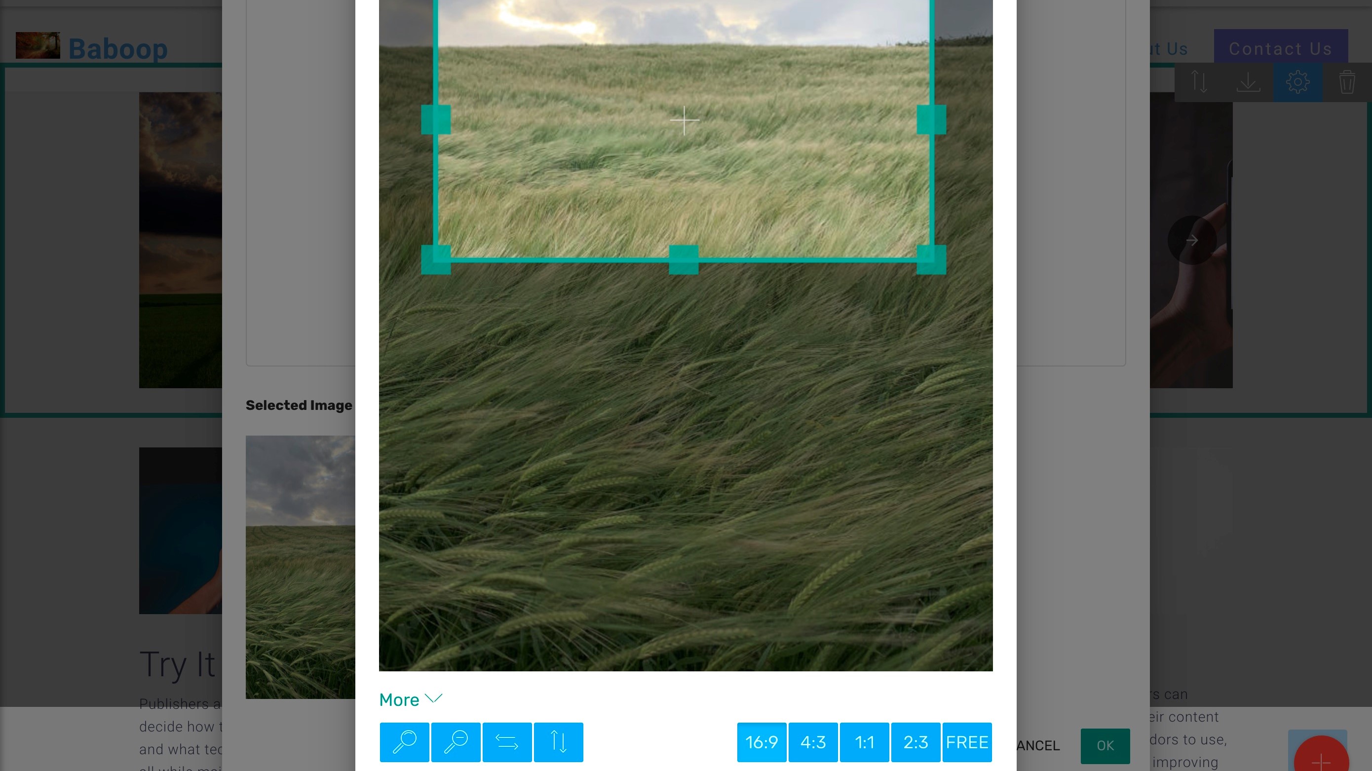 Image Editing