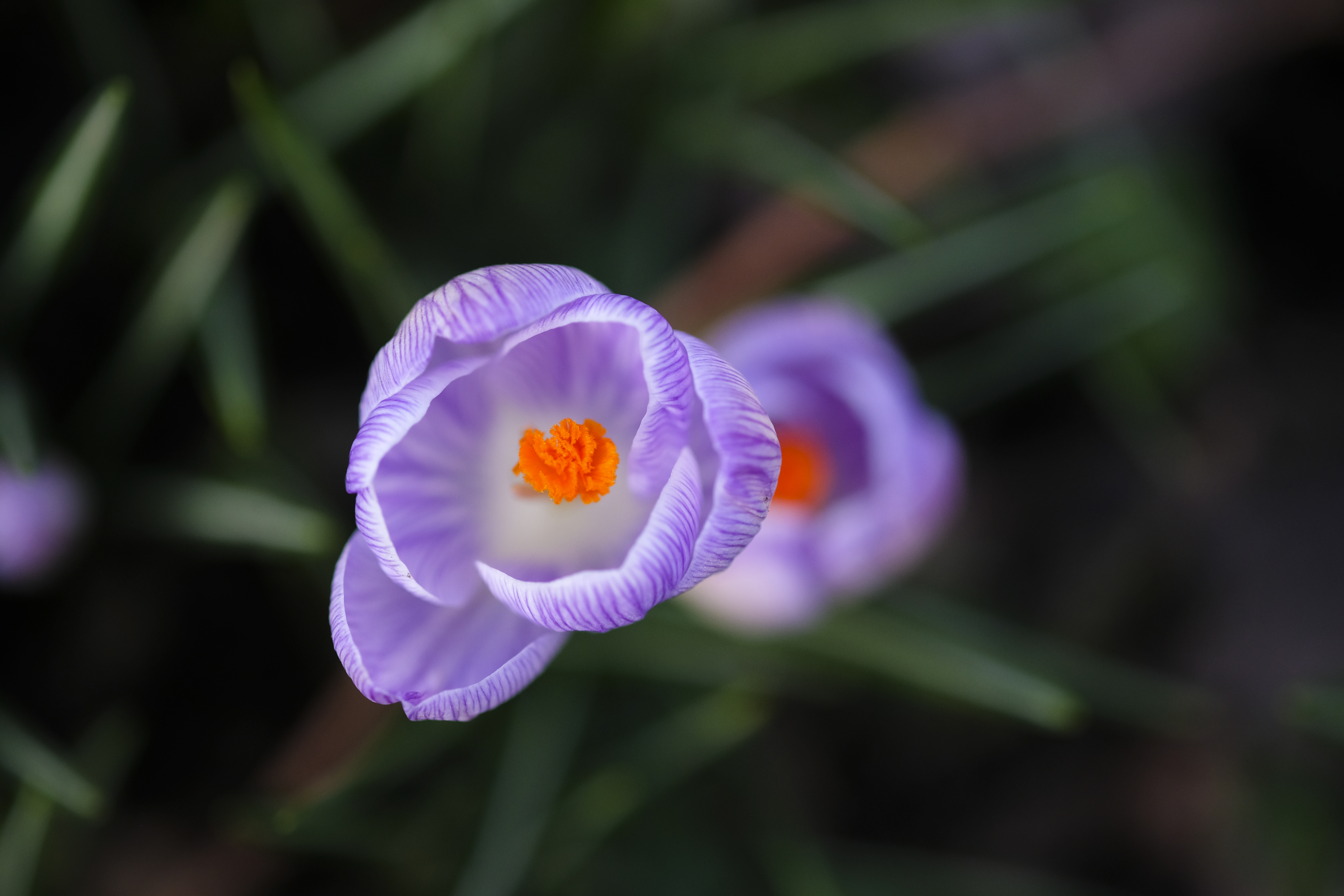 Whether you&amp;rsquo;re shooting static or fast-moving subjects, the X-T20&amp;rsquo;s AF is nice and quick