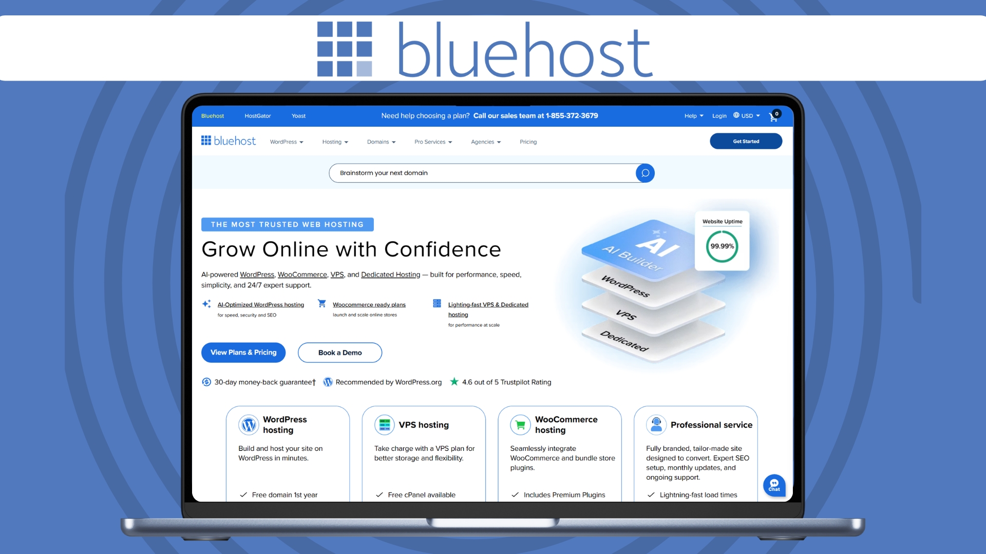 Bluehsot hero image