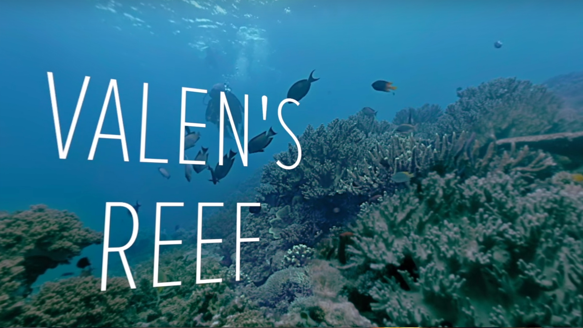 40. Indonesia: Valen’s Reef