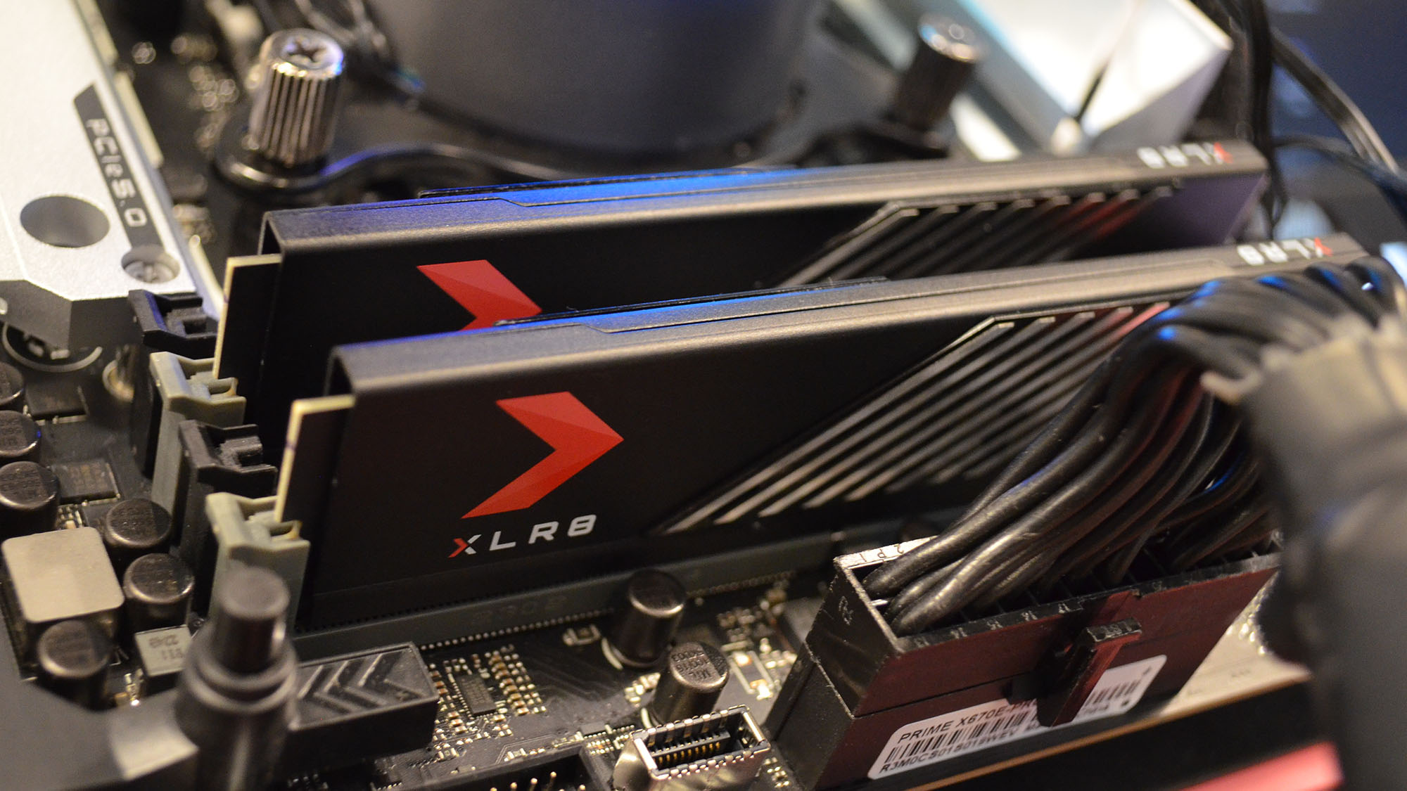 PNY xlr8 gaming mako ddr5 RAM slotted into a motherboard