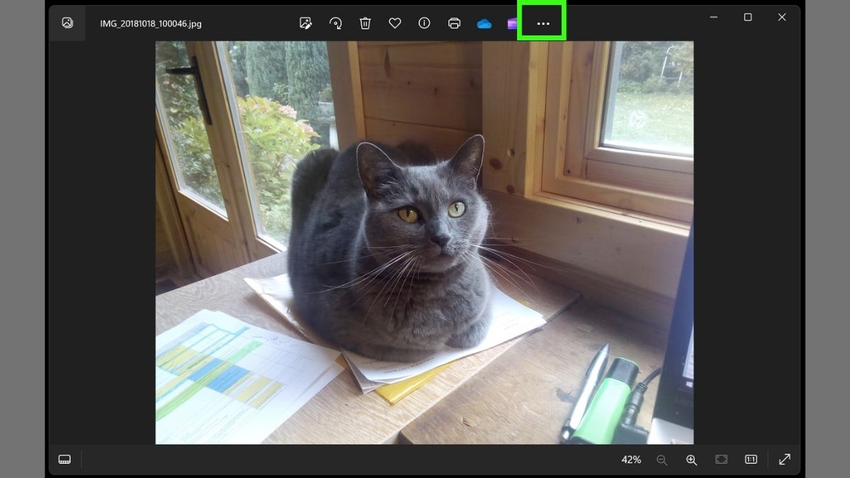 Screenshot showing how to resize images in Windows Photo - Select three dots